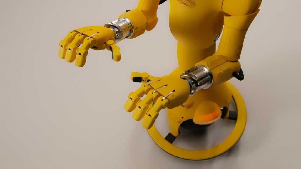 Embodied Robotics