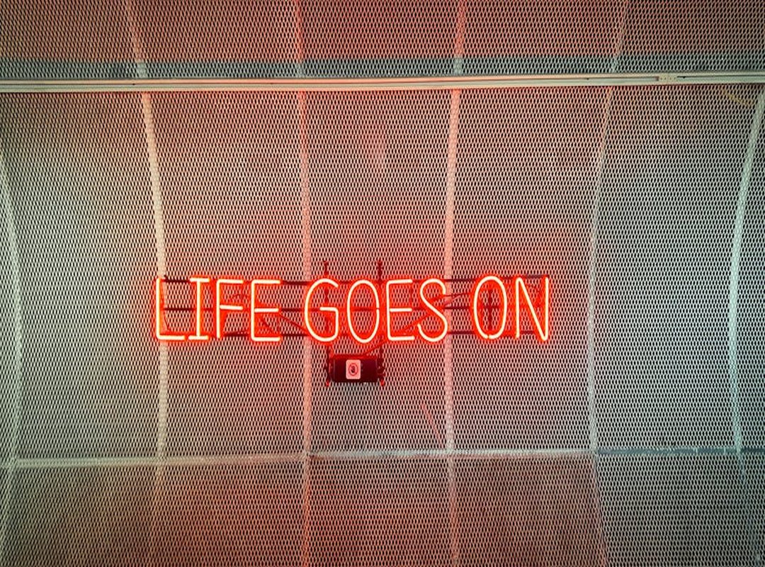 Software Dowsstrike2045 Python