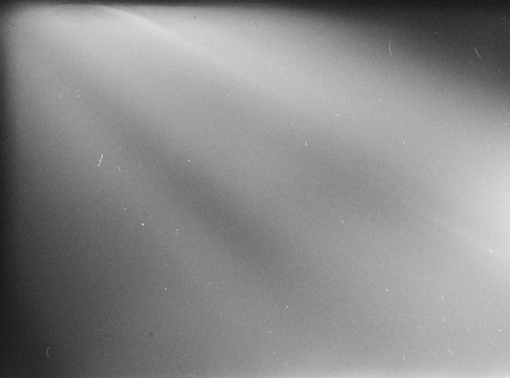 whipitdev onlyfans leaked