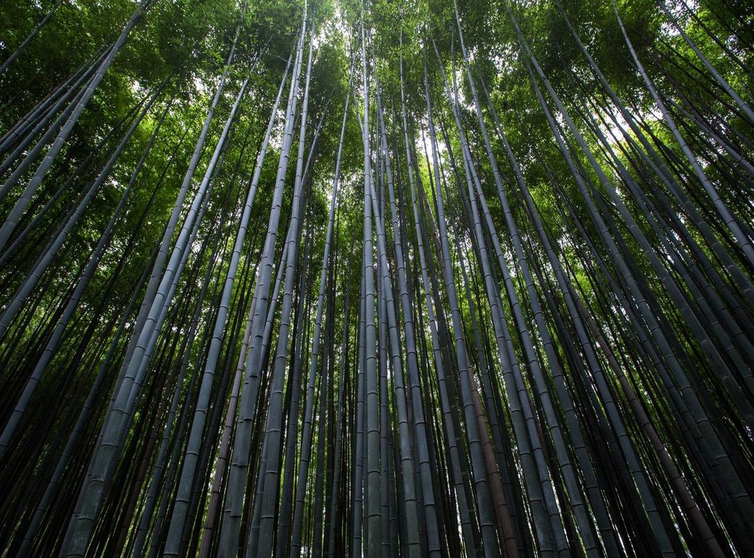 Practical Applications: Putting Your Graphics to Work