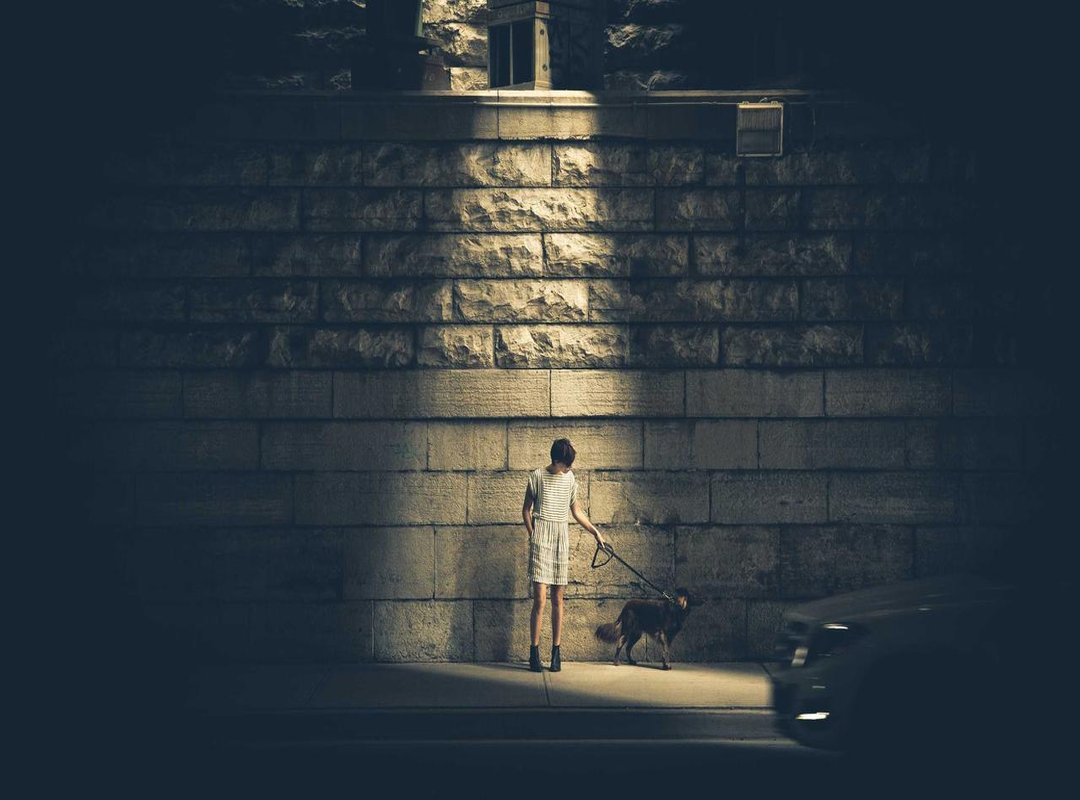 Free vs. Paid Subscriptions: Is an Upgrade Worth It?