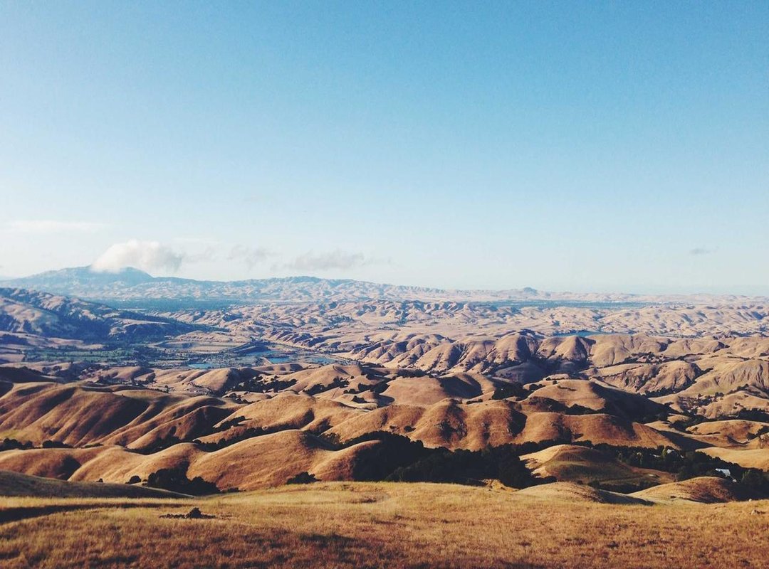 Inside Her Career: Modeling, Influence, and Business Ventures