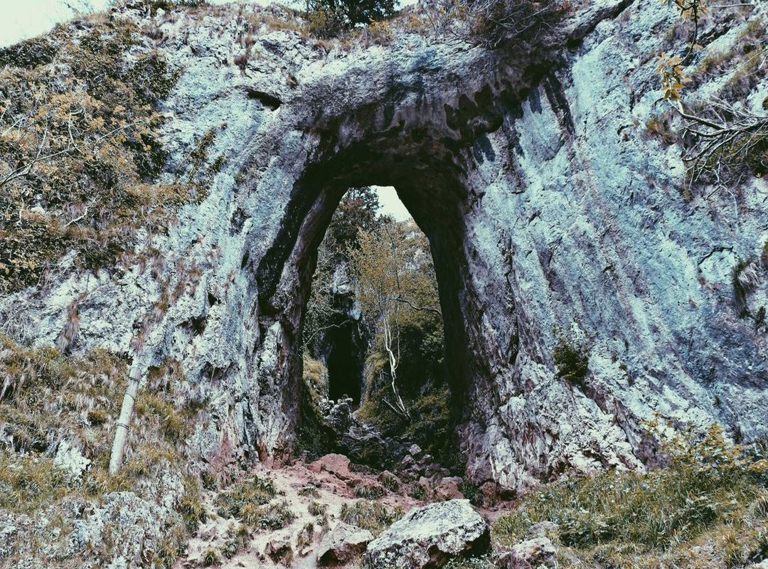 The 'Poppe Effect': Understanding His Influence on the Market