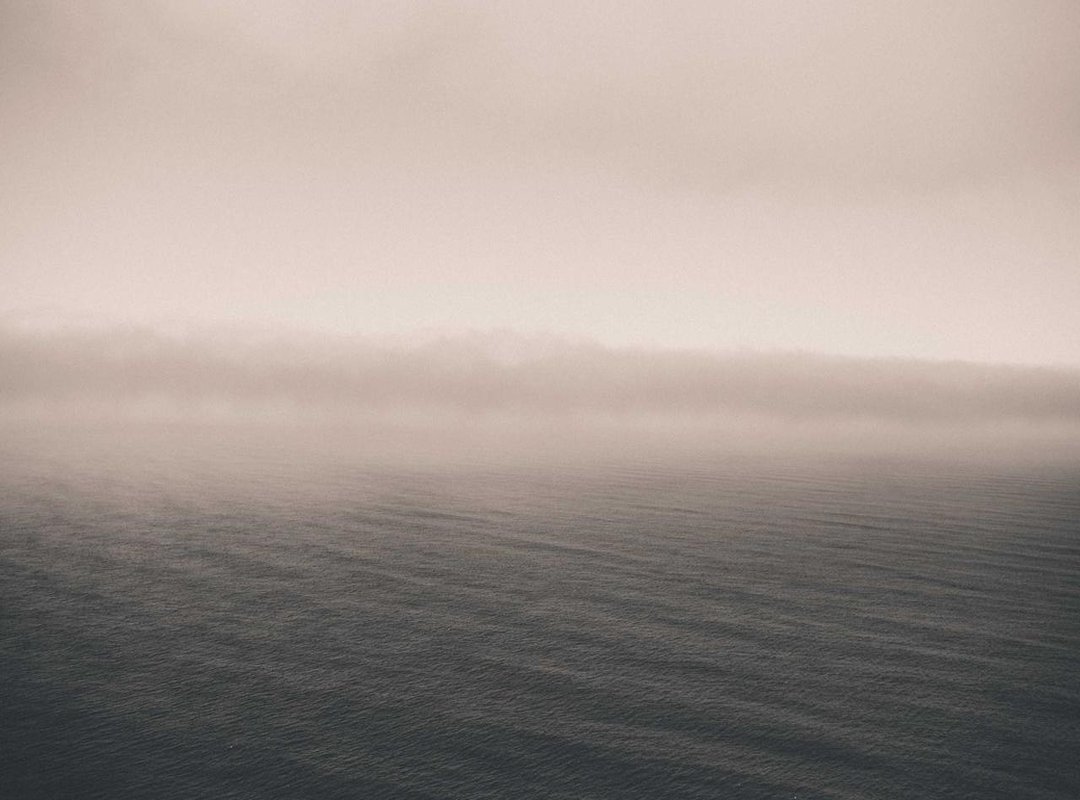 Step 3: Using the Husk and Shell for Fire and Tools