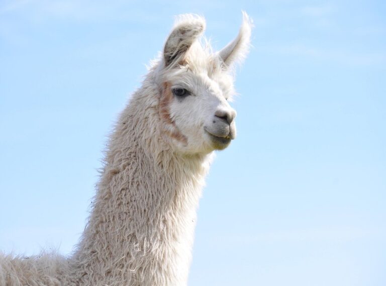 nicki nicole fotos actuales