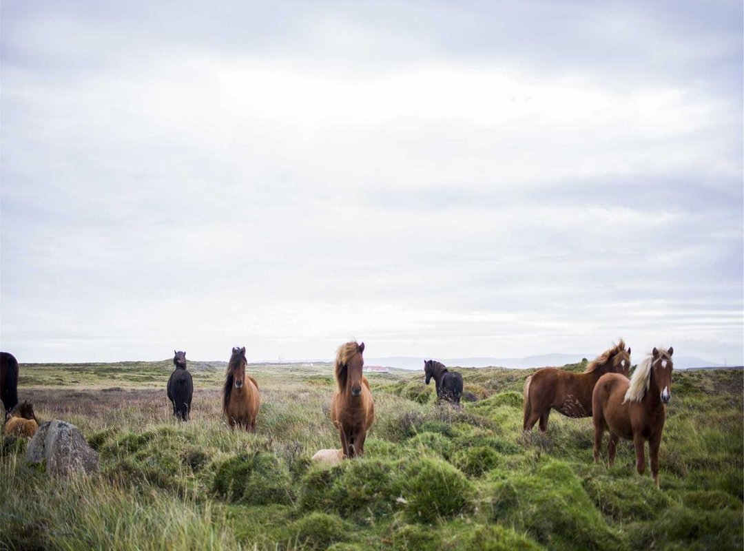 Fan Theories and Internet Culture: The True Origin of the Name?