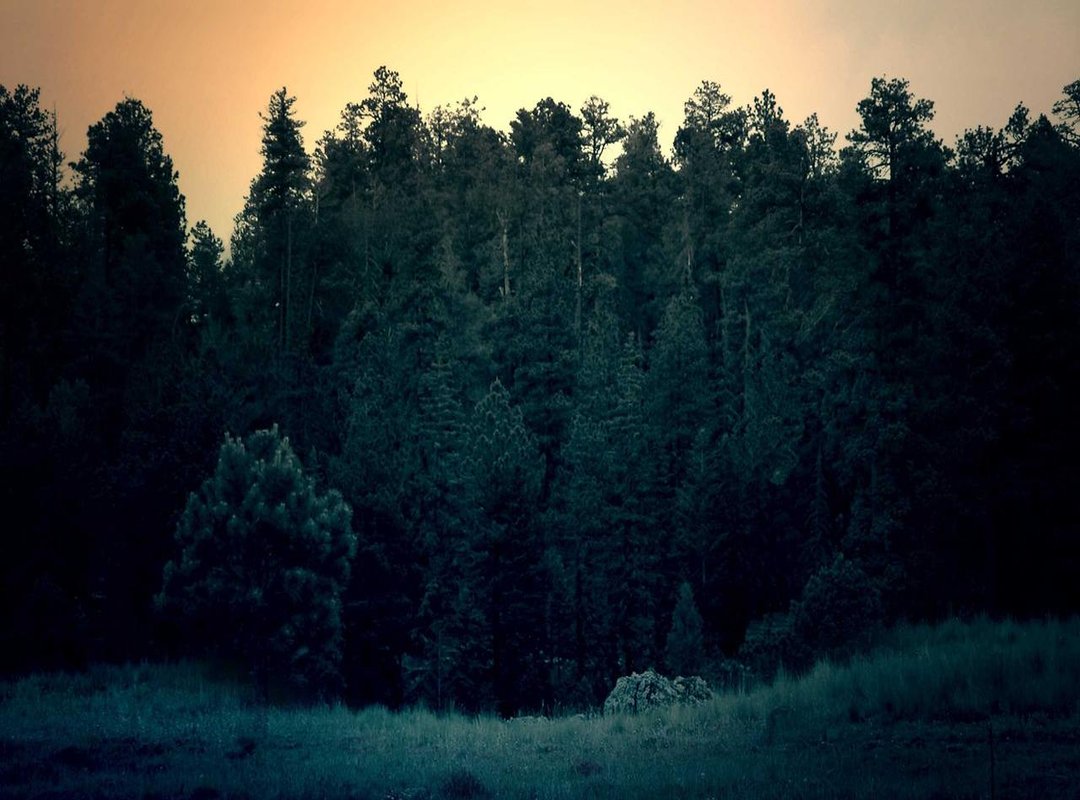 A Deeper Look: Unpacking the Key Verses and Themes