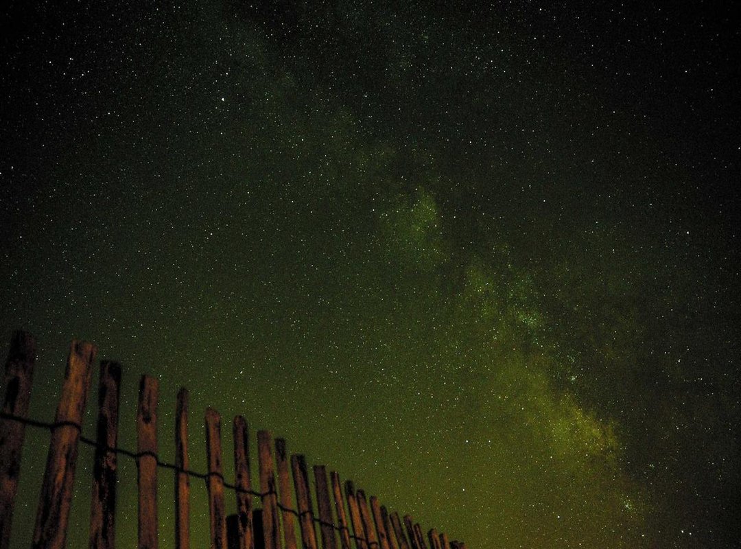 Editing Your Photos: Tools and Techniques