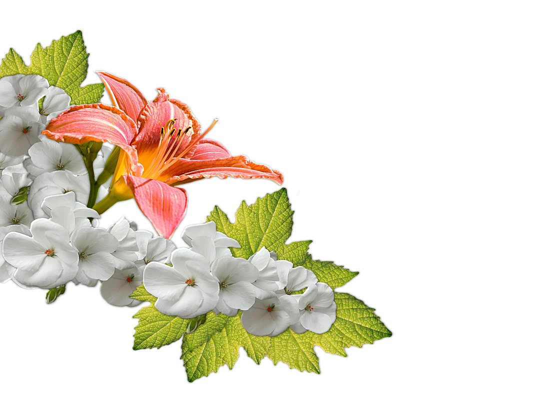 Why Her Twitter Is an Essential Follow for Political Watchers