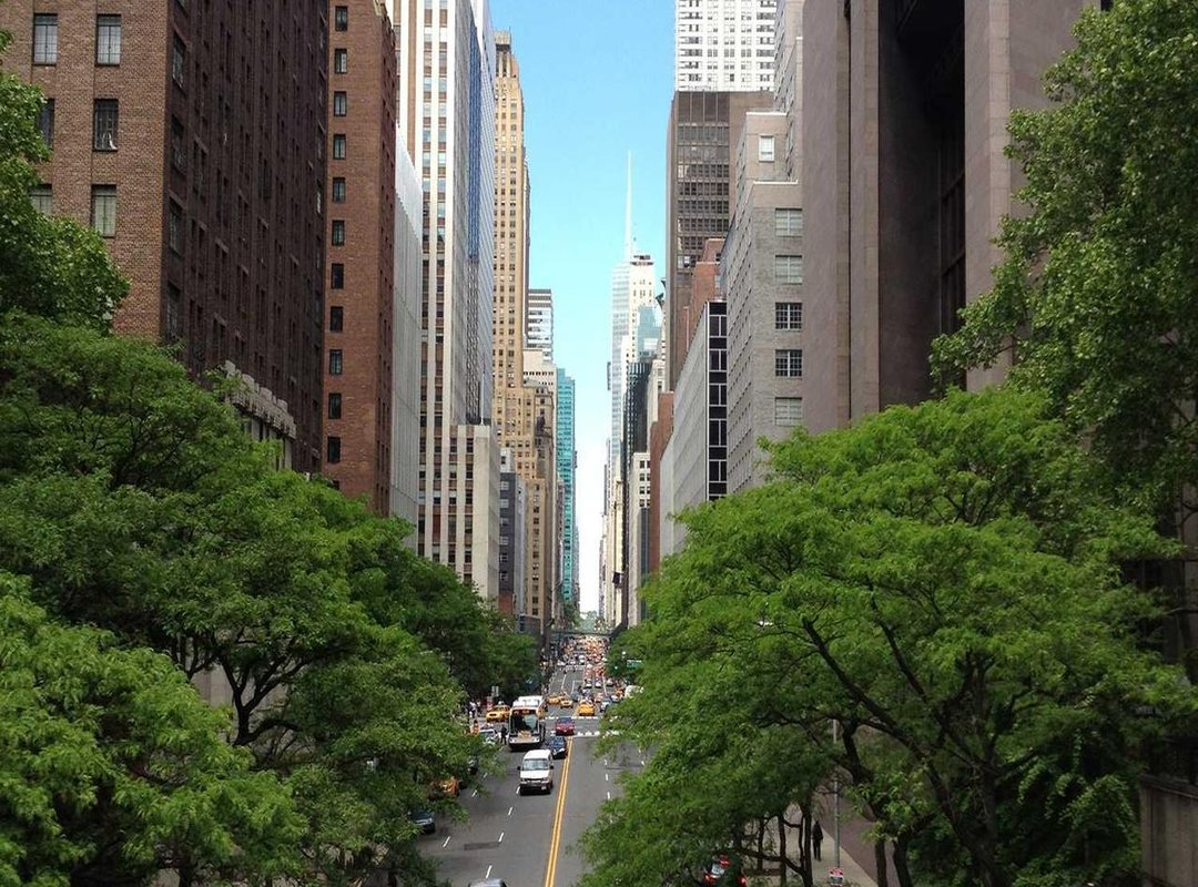 Matching the Wallpaper to Your Screen: A Perfect Fit Guide